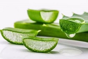 aloe para o tratamento de prostatite