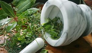 preparações à base de plantas para o tratamento da prostatite