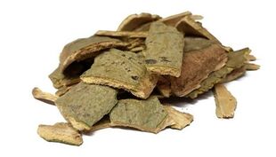 tratamento de prostatite de casca de álamo tremedor