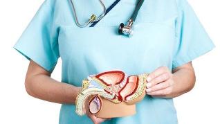 Características da terapia