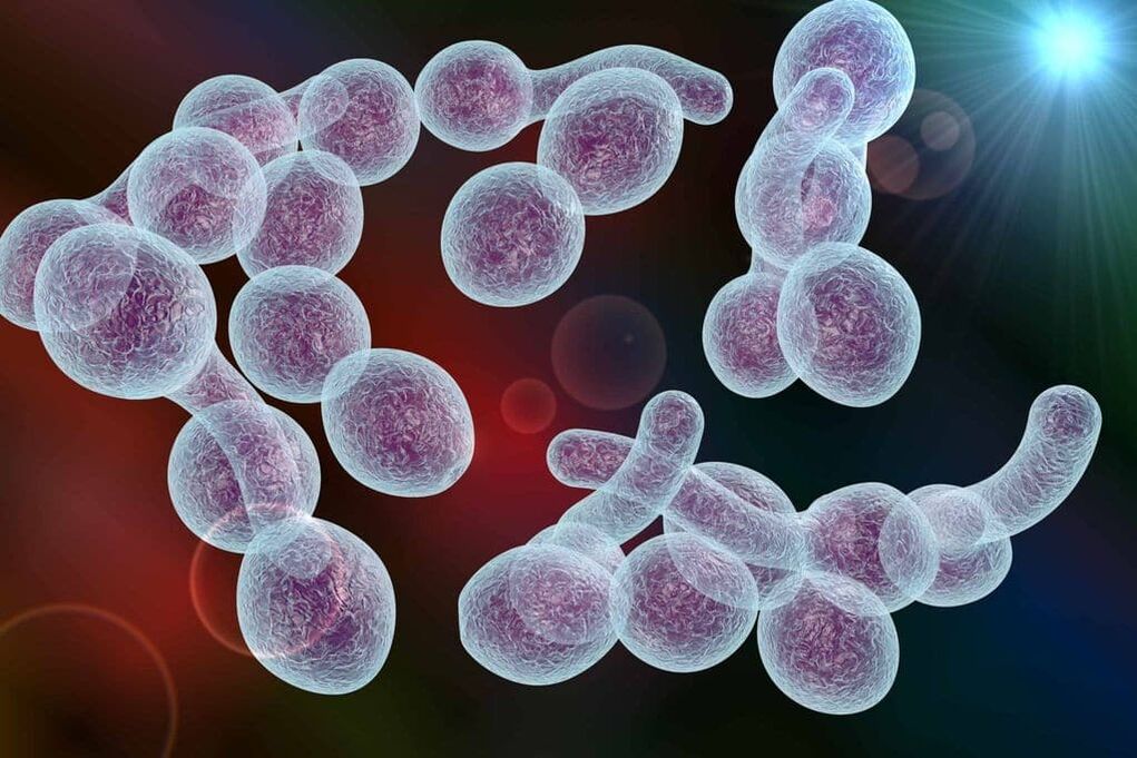 agente causador da prostatite bacteriana em homens